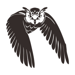 owl illustration