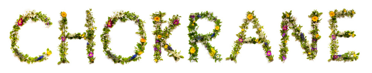 Colorful Flowers Building Word Chokrane, Isolated Background