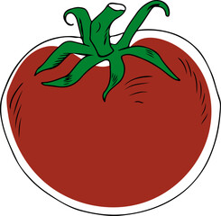 Lineart style red whole tomato with green stem isolated on white background