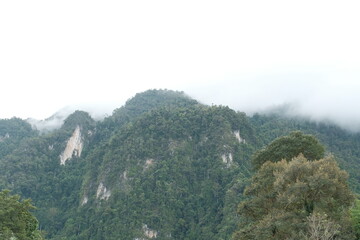 misty morning in the mountains