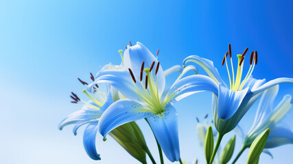 Blue lily flowers and leaf Border surrounding on a over cloud blue sky, Highlighting the Soft and Selective Elements of Flower Border Art. Generative ai