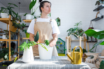 Woman in an apron holds a rooted stalk of the house plant philodendron mayo for planting in a white...