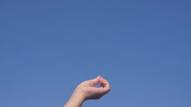 Feeding bird with hand. Seagull flies back to swoop down on food offered by woman's hand against the blue sky background at seaside in Thailand, Asia. Concepts of animal migration, travel and tourism.