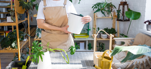 Woman in an apron holds a pot with a double bottom and automatic watering for planting rooted...