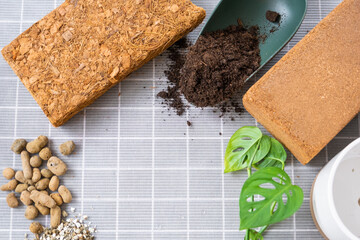 Ingredients for transplanting domestic plants, soil composition, drainage, coconut briquette and coconut chips, vermiculite and peat, a sprout of Adanson's monstera with roots on the table, top view