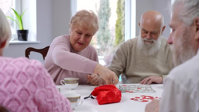 Joyful thoughtful old friends playing table lotto sitting in living room. Positive cheerful Caucasian senior men and women enjoying game and leisure indoors