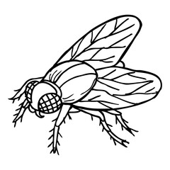 flies sketch vector illustration