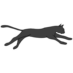 cat jump vector illustration
