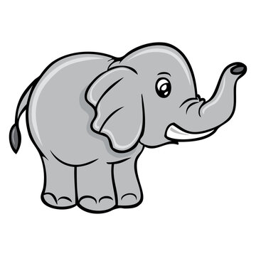 cute elephant vector illustration