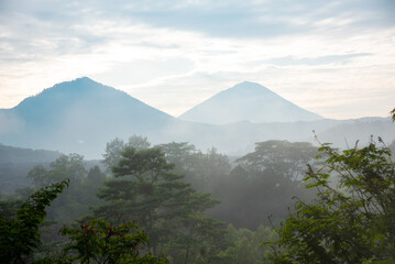 Fototapeta na wymiar Foggy rainforest and mountains on Bali, Indonesia in the morning