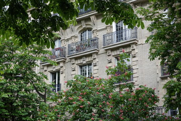 Fototapeta na wymiar Vue sur un immeuble entouré de branches de feuillages près d'un parc