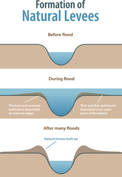 formation of natural levees infographic