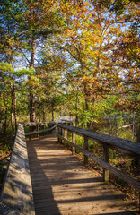 Boardwalk at Great Falls Park, National Park Service site in Virginia