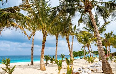 Fototapeta na wymiar Beautiful tropical island of Zanzibar. Sea and beach of Zanzibar, Tanzania. 