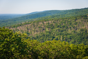 Overlook at Catoctin Mountain Park