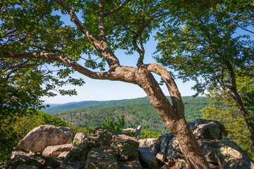 Overlook at Catoctin Mountain Park