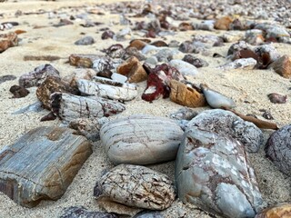 rocks on the beach