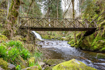 Pont en bois au-dessus d'une rivière en pleine forêt des Vosges