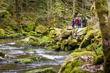 Famille en promenade le long d'une rivière en pleine forêt vosgienne
