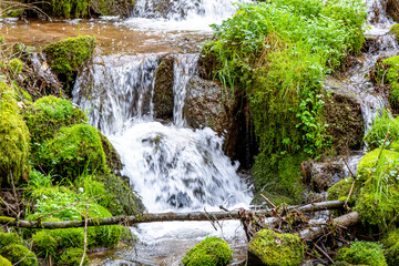 Ruisseau et cascade au milieu de mousse et de verdure