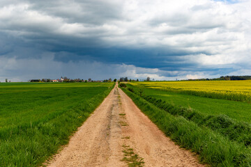 Fototapeta na wymiar A dirt road among spring fields.