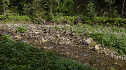 A narrow mountain river with rapids