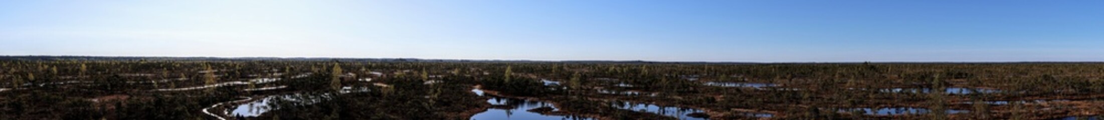 latvia, natural swamp park in Kemeri