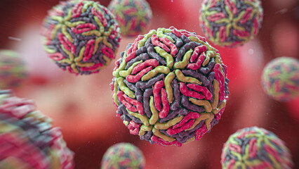 Flaviviridae viruses, illustration