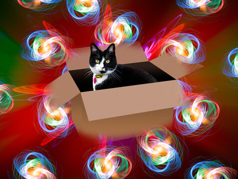 Schrodinger's cat, composite illustration