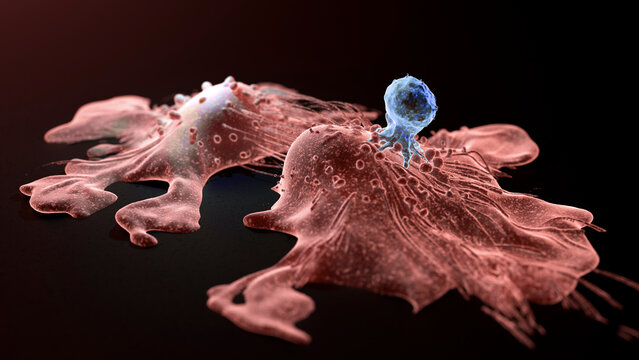 CAR-T cell therapy, illustration
