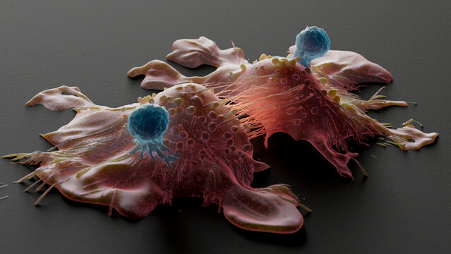 CAR-T cell therapy, illustration