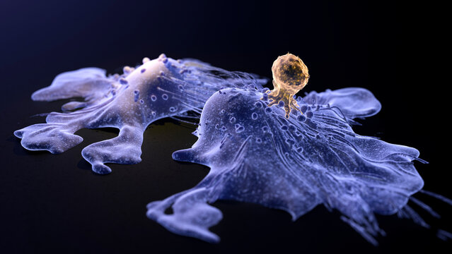 CAR-T cell therapy, illustration