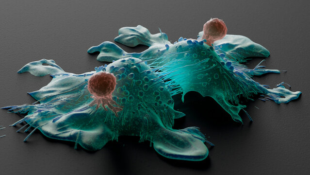 CAR-T cell therapy, illustration