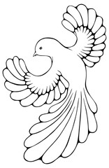 Black outline hand drawn bird illustrations ssingle element of collection on transparent background.