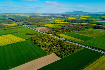 Colorful agriculture fields in spring. Blooming rapeseed fields and green meadows, aerial view. Natural background