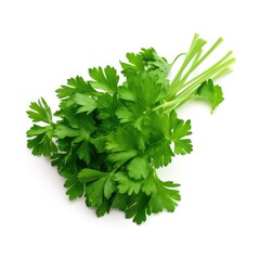 Bunch of a organic fresh parsley ingredient for cooking with white background Generative AI Illustration
