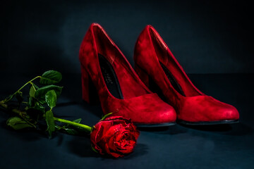 Roses & Shoes