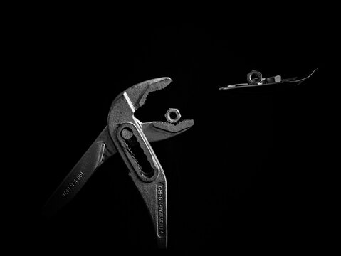 Feeding the screw dinosaur