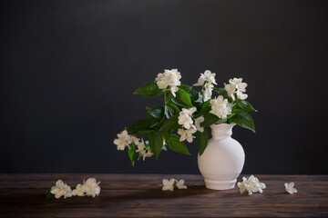 jasmine flowers in ceramic vase on white background