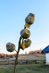 Fototapeta premium Old clay pots hanging on a dry branch