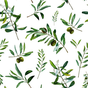 Olive leaves, watercolor, illustrations, seamless pattern, digital paper, floral, textile, print