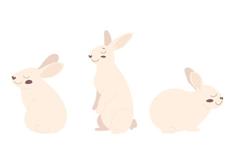 A set of bunny illustrations