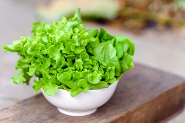 Green vegetables or lettuce in white bowl on wooden background. Healthy food concept.