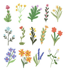 set of flowers