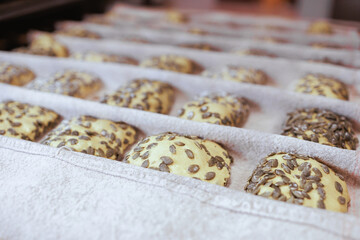 Organic Bakery - details of bakr baking bread