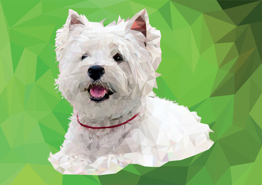 West Highland White Terrier (Westi) hand-drawn image of Vesti in mosaic (stained glass) style. Pec lies in the grass, a red collar around his neck. Vector image for  printing on clothes, dishes, cards