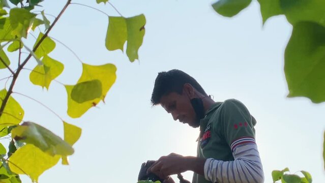 Zooming out clip of south asian photographer taking a photo, with leaves around him blowing in gentle breeze