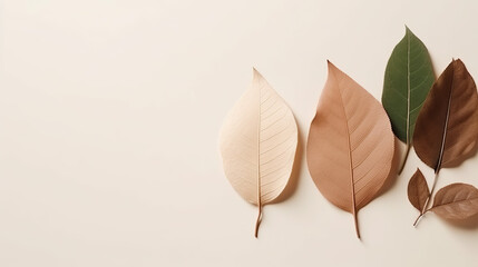 Autumn leaves on the side of large light beige pastel background, Beautiful leaves composition with large white space for text or copy, clean and minimal top view wallpaper.