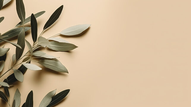 Top View Of Olive Branches With Olives And Leaves On Beige Pastel Background. Flat Lay Composition With Space For Copy.