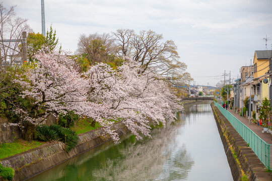 Kyoto
